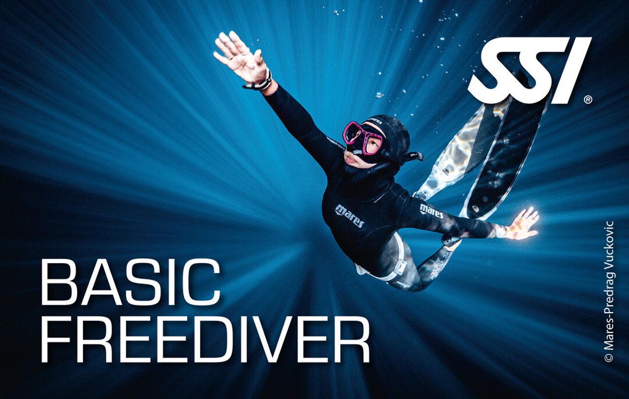 Basic Freedive