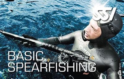 Basic Spearfishing